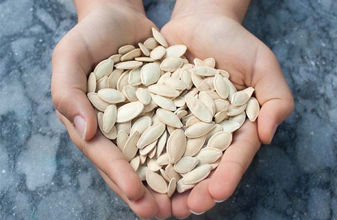 Cold Pressed Organic Pumpkin Seed Oil for scalp health